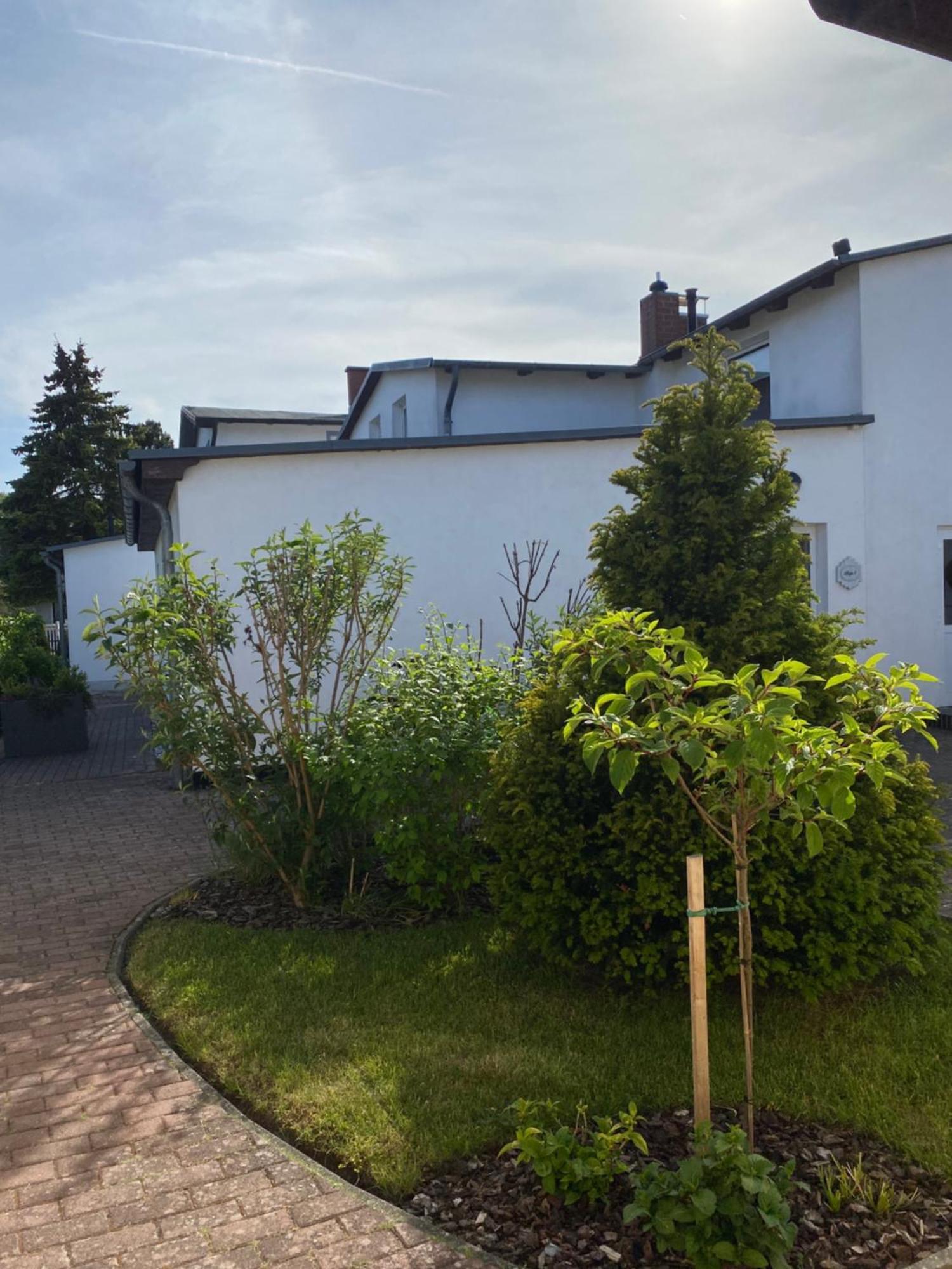 Strandkojen Trassenheide Kültér fotó